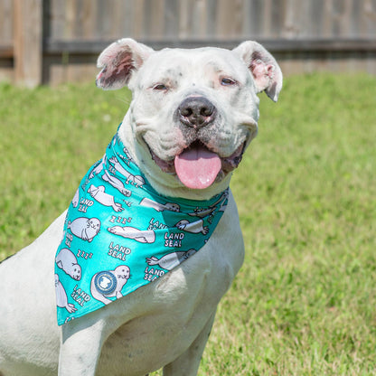 Land Seal Dog Bandana