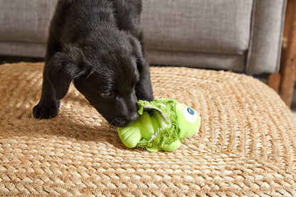 Fish Dog Toy – Tough Plush & Rubber Core