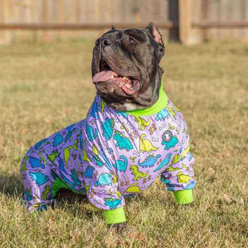 Lazy Bones Dog Pajamas – Purple