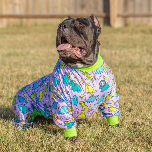 Lazy Bones Dog Pajamas – Purple