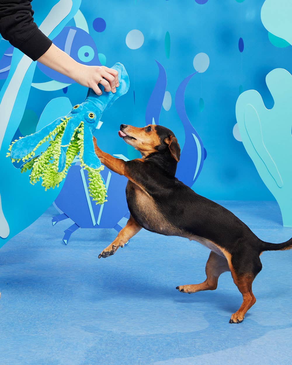 Squid Dog Toy