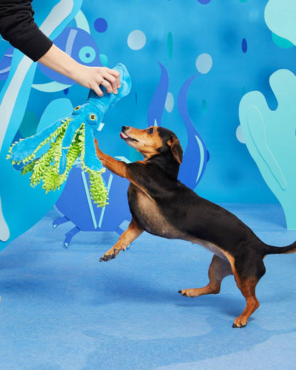 Squid Dog Toy