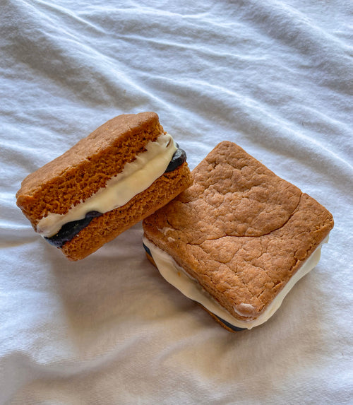 Peanut Butter Dog Treats – Doggie S’mores Campfire Cookies