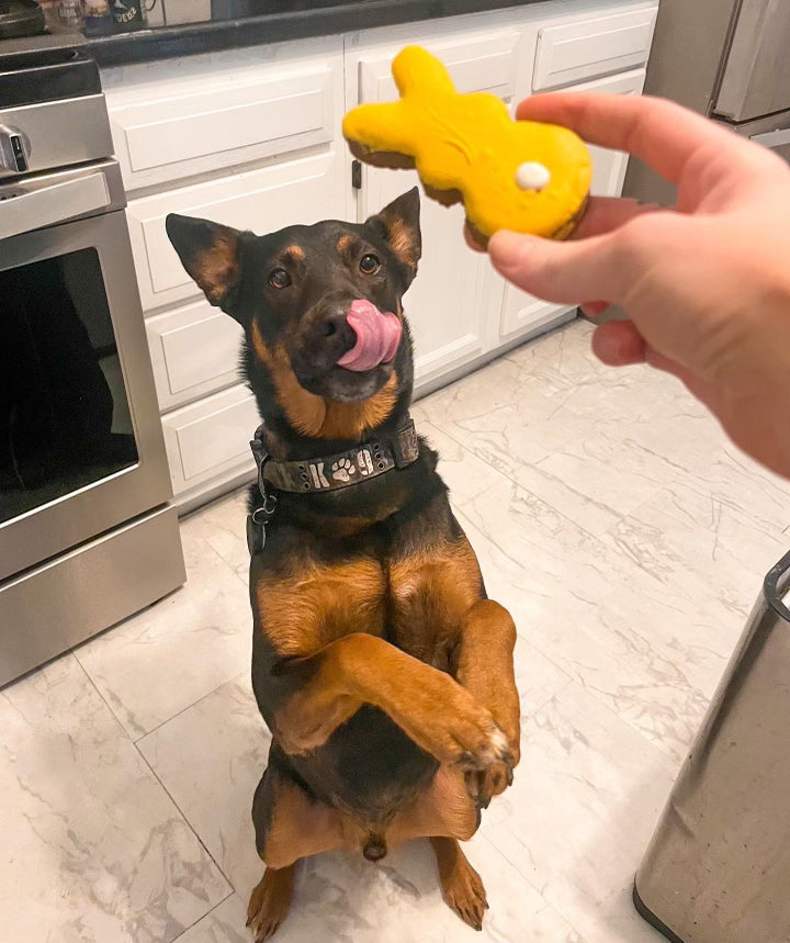 Easter Bunny Doggy Treats