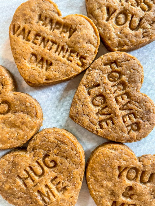 Peanut Butter Dog Treats – Valentine Conversation Hearts